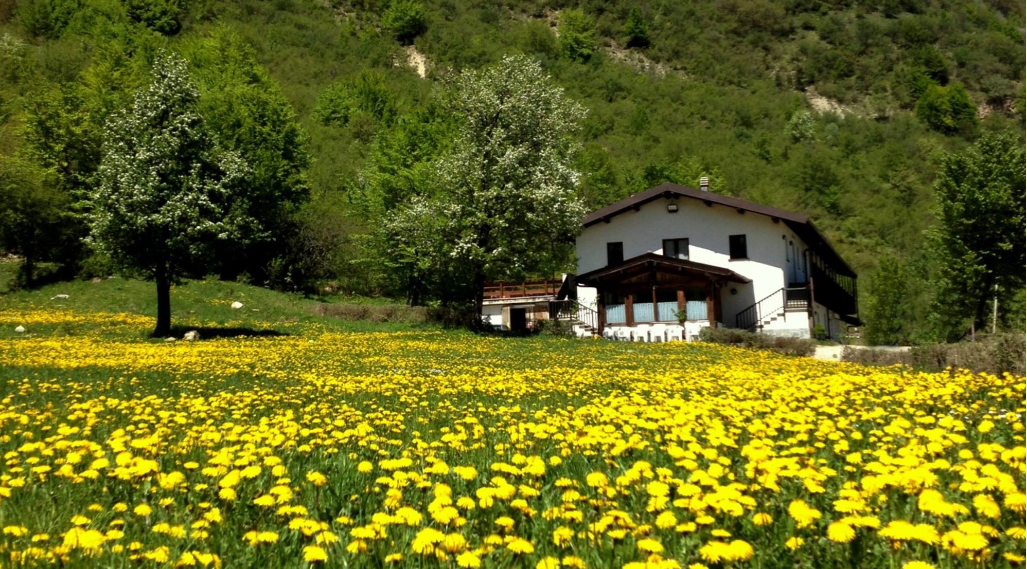 Agriturismo Sulla Via Del Sale foto 3