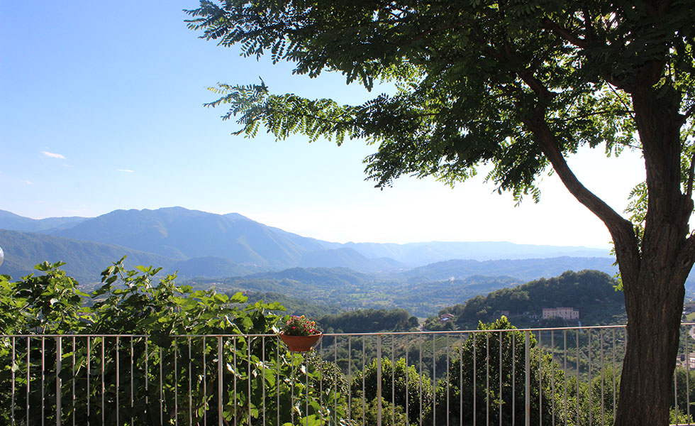 Chez Nous Bed and Breakfast foto 5