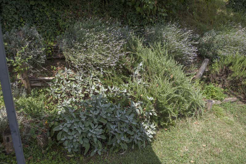 Bed and Breakfast Casale Nardone foto 2