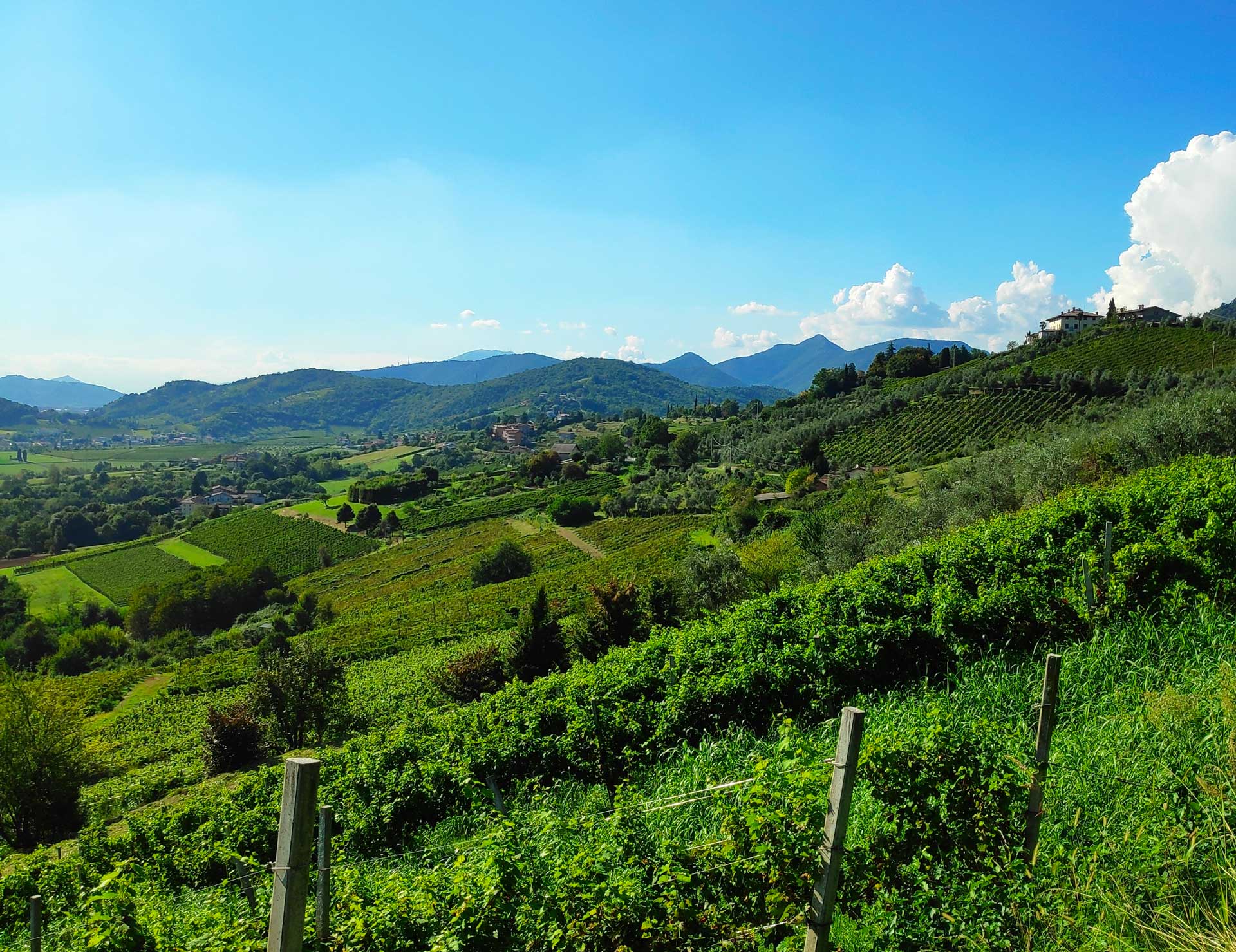 Bergamo BnB foto 2