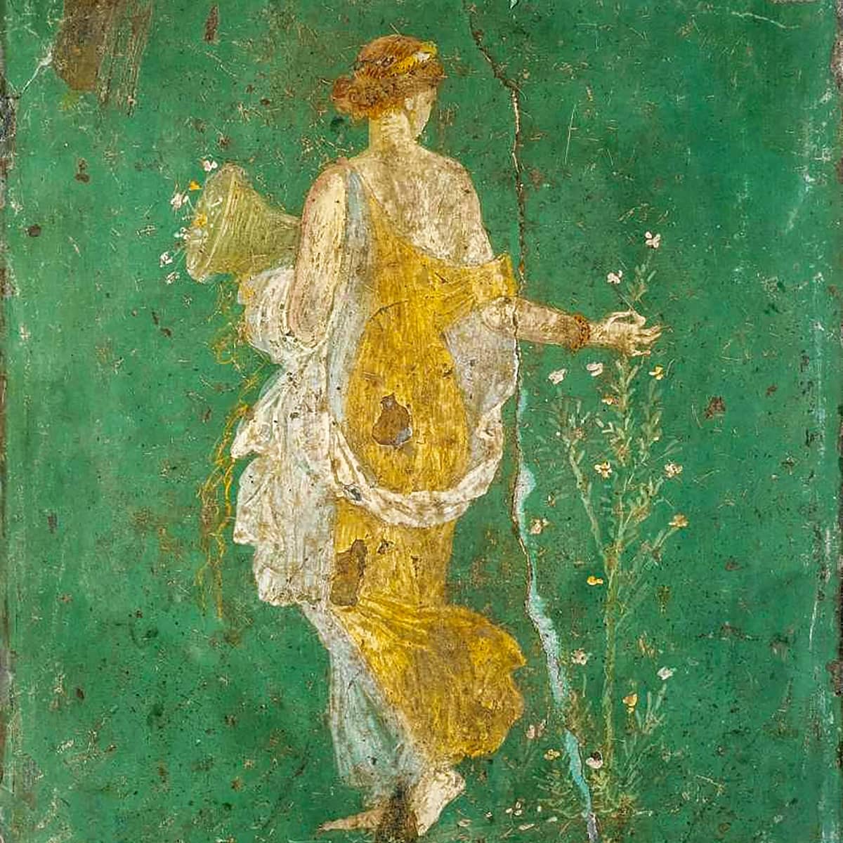 Cominium Benessere foto 6