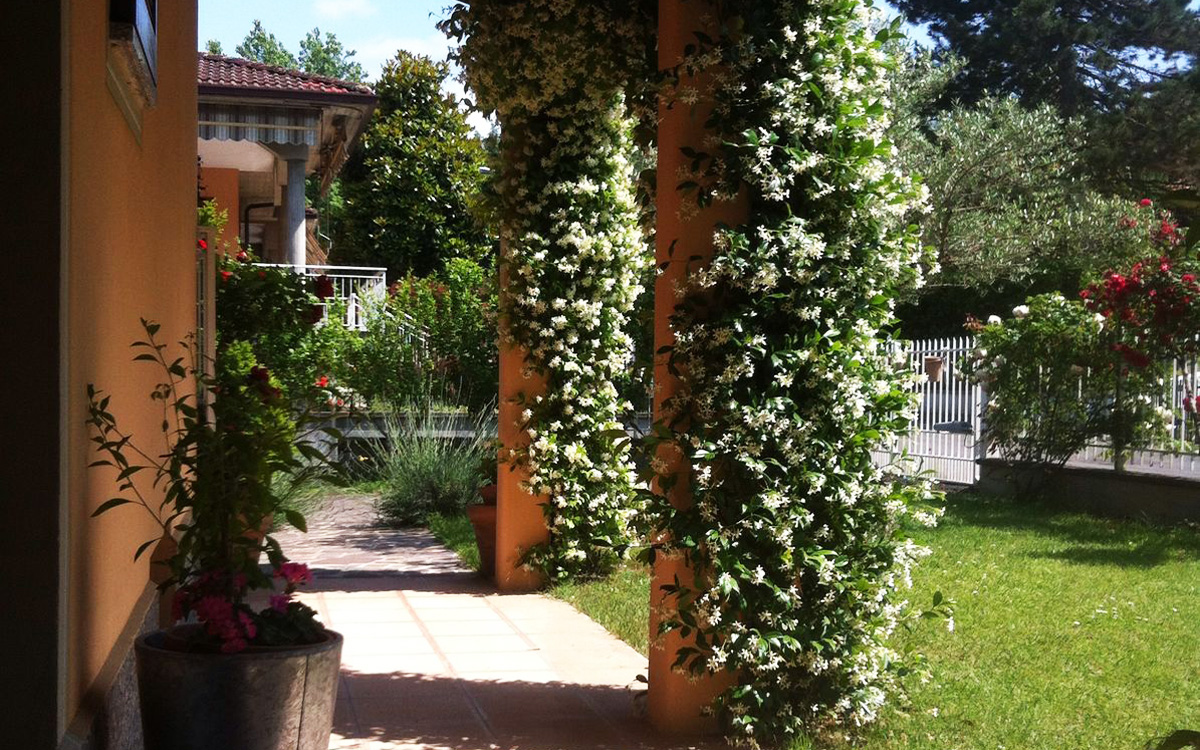 B&B Spirito Libero foto 6