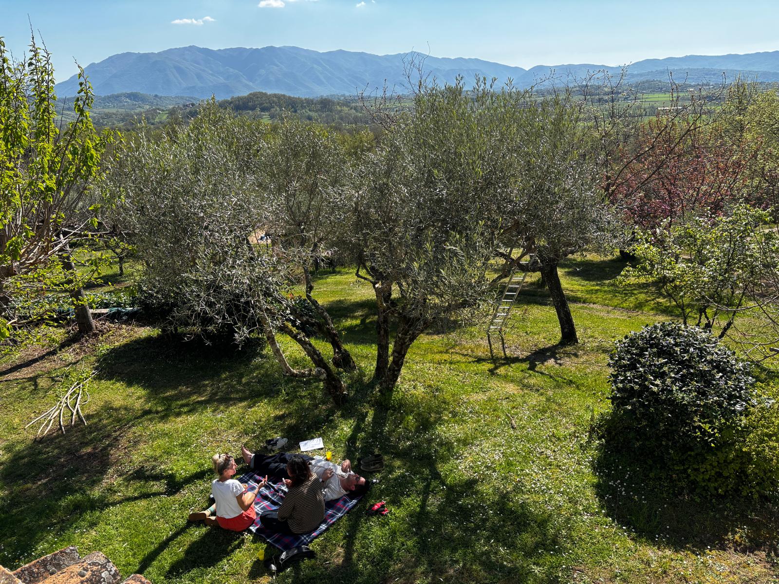 Resort Il Bruco foto 5