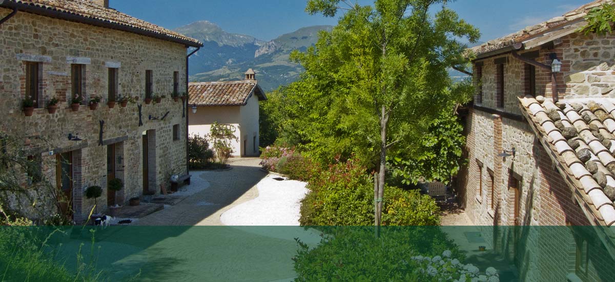 Country House La Querceta foto 1