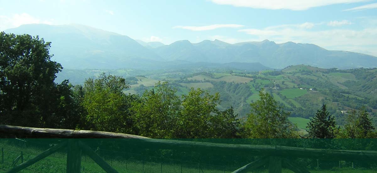 Country House La Querceta foto 3
