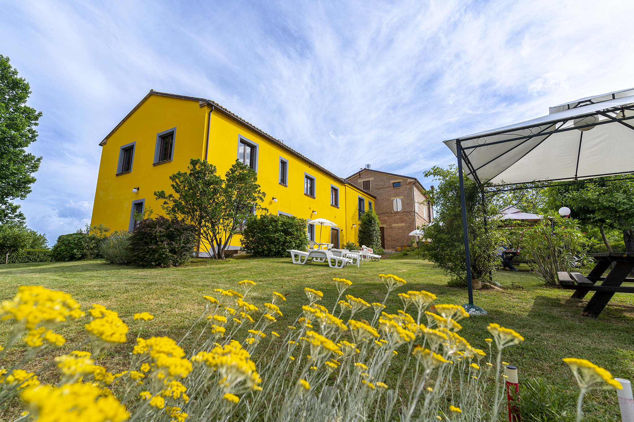 Agriturismo L'Olmo di Casigliano foto 2