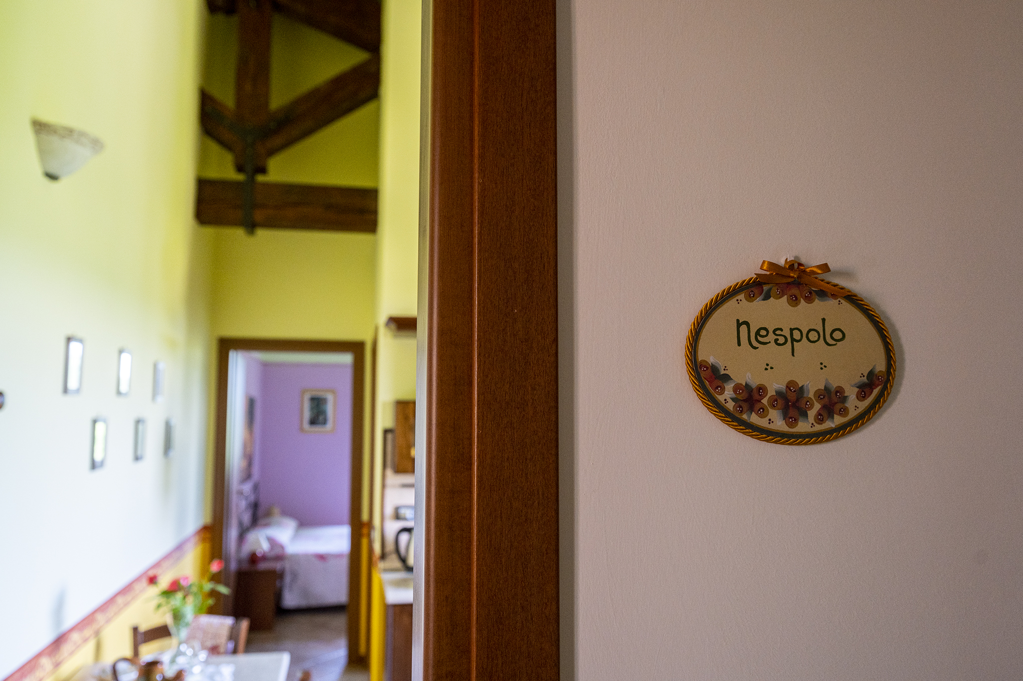 Agriturismo L'Olmo di Casigliano foto 4