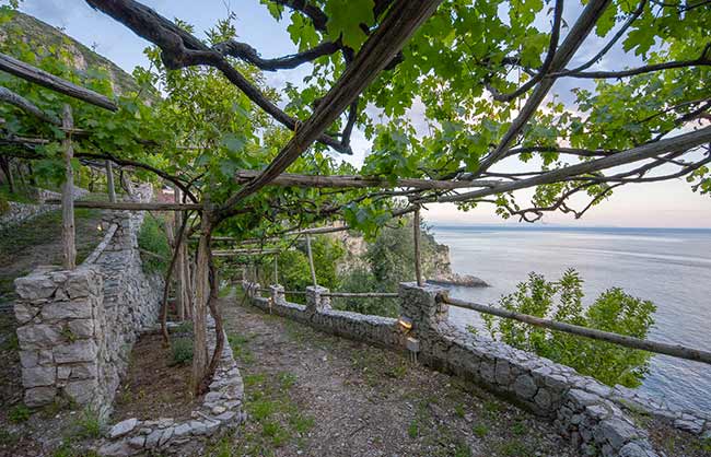 Cannaverde - Amalfi Coast Camp foto 3