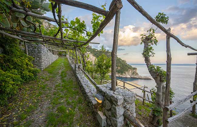 Cannaverde - Amalfi Coast Camp foto 4