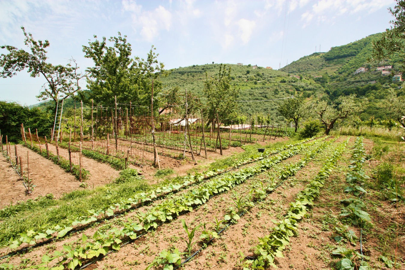 Agriturismo La Chiana foto 1