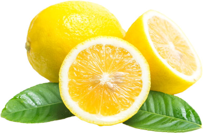 Sopra il Limoneto foto 6
