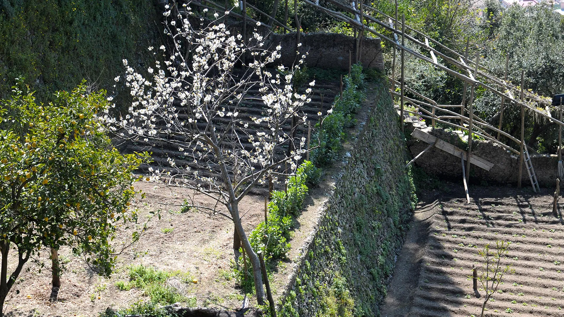 Agriturismo Villa Maria foto 1