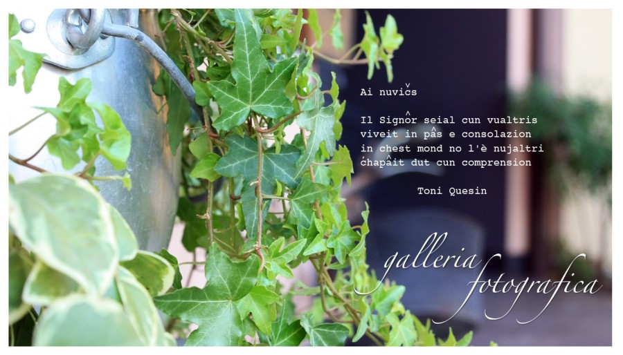 B&B A Cjase di Lise foto 3