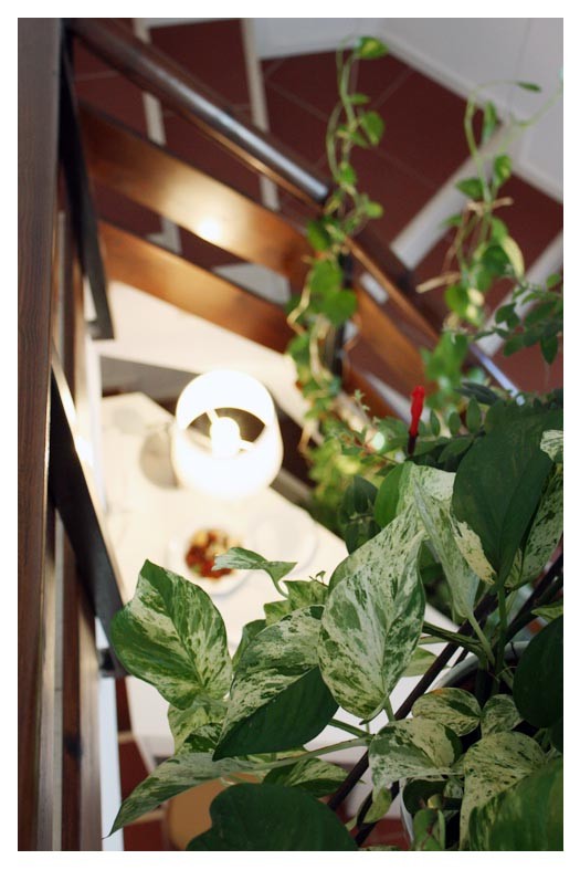 B&B A Cjase di Lise foto 6