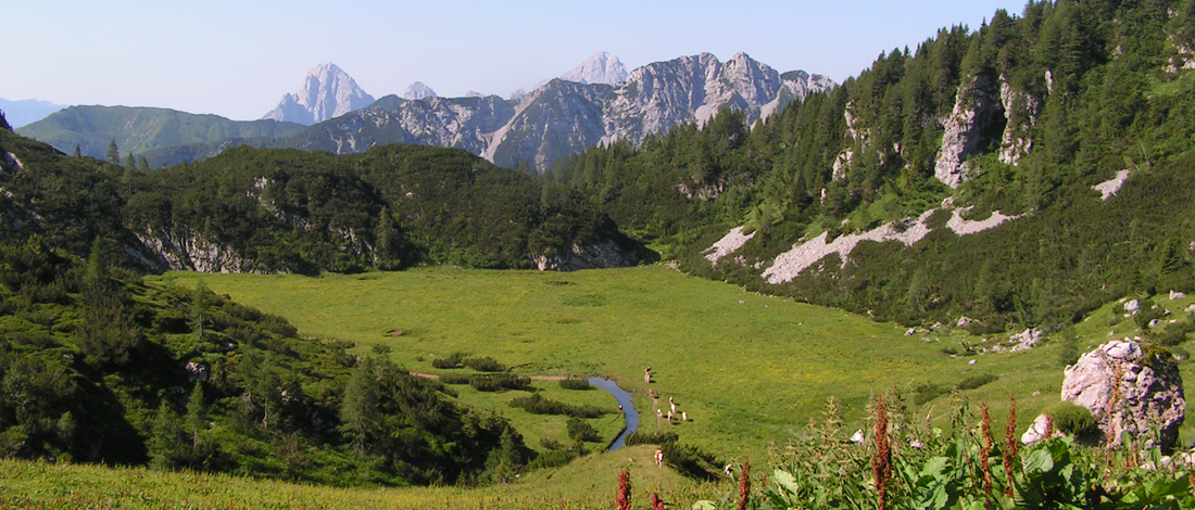 B&B Sot i Volz foto 3