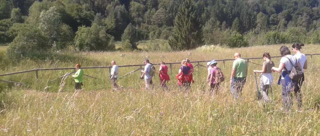 B&B Sot i Volz foto 6