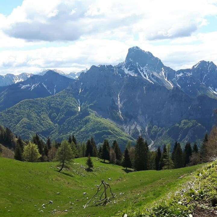 Ristoro 25 Aprile foto 4