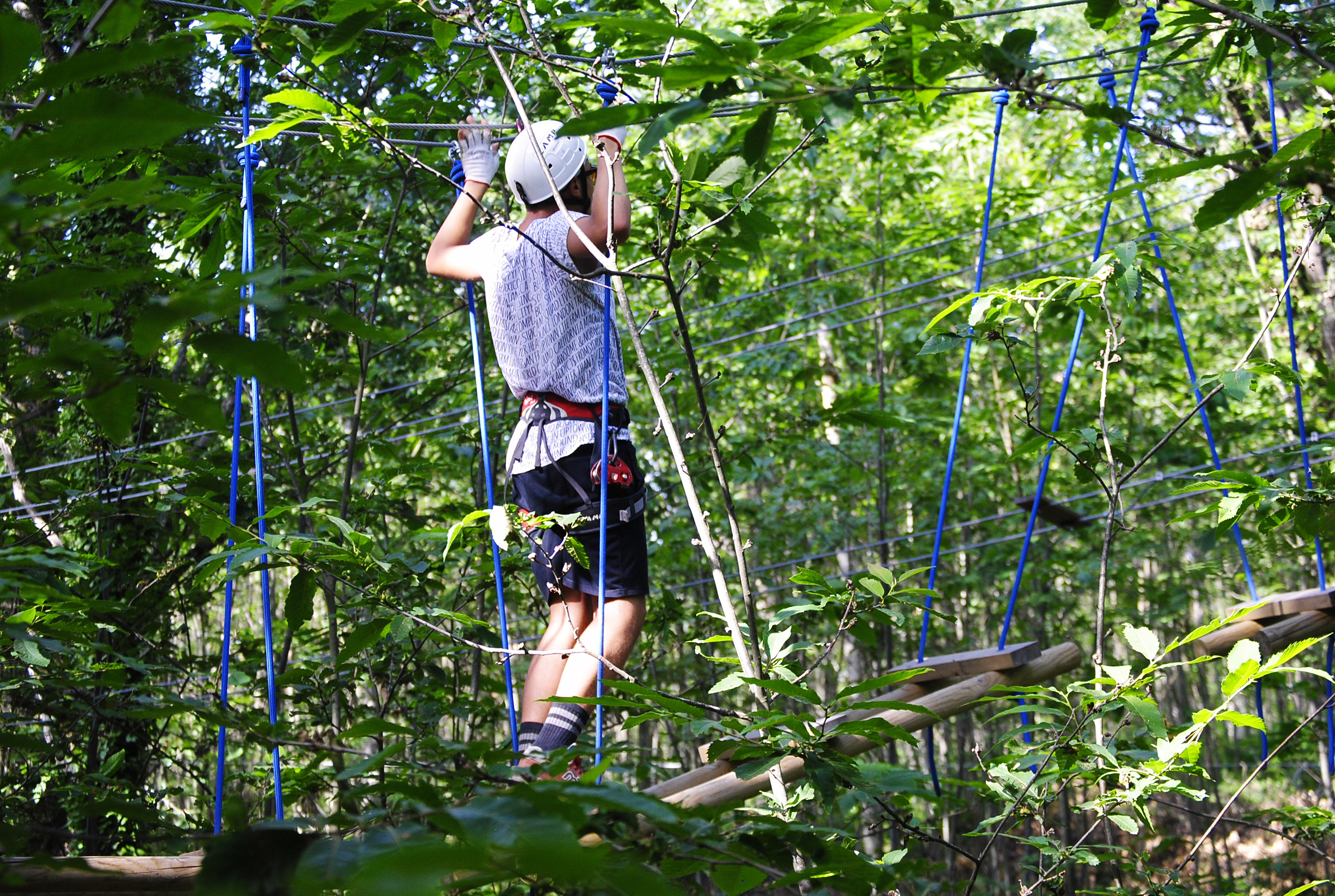 Parco Avventura Adrenalina Verde foto 1