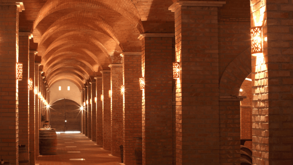 Cantine Lento Soc.Coop.R.L. foto 5