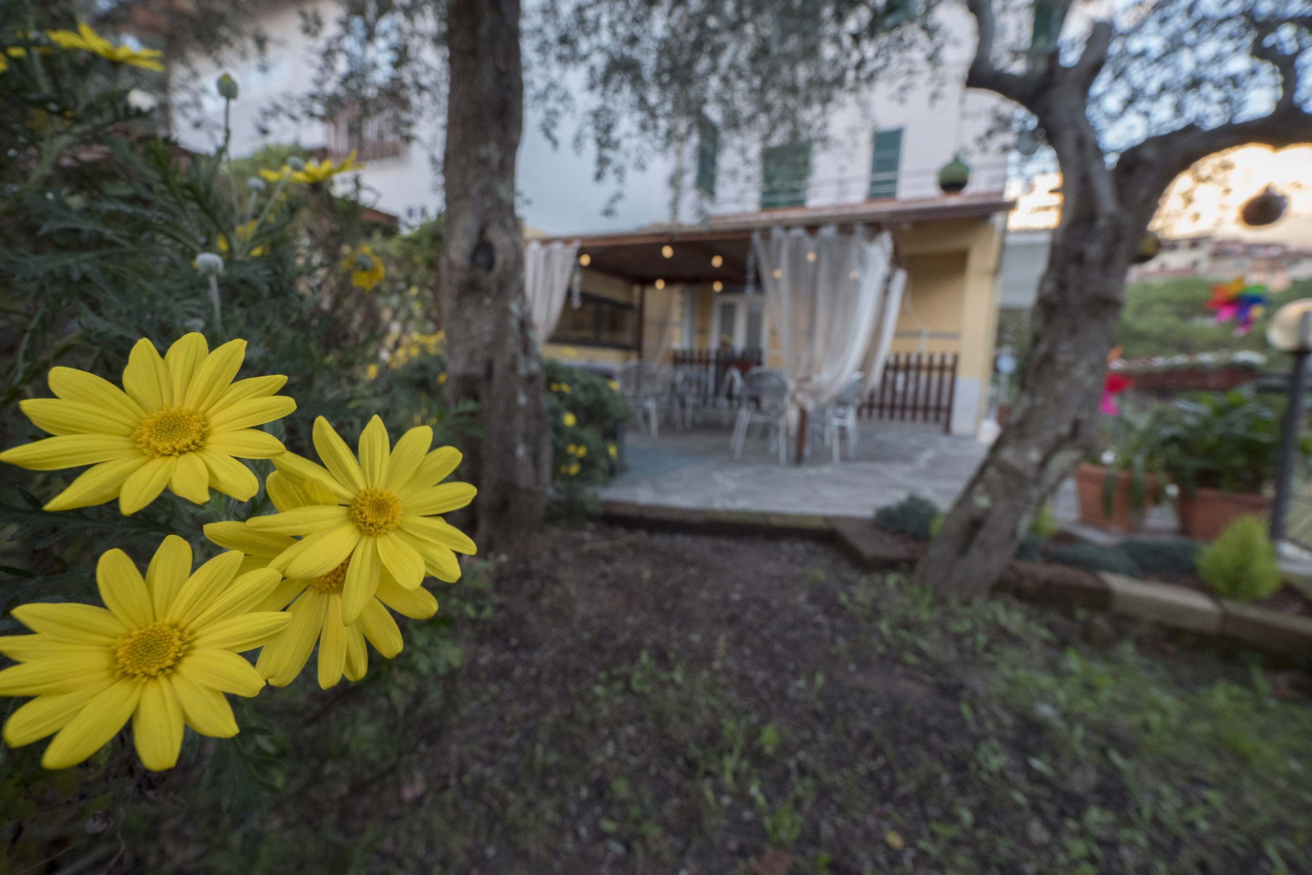 Albergo Serena - foto 1