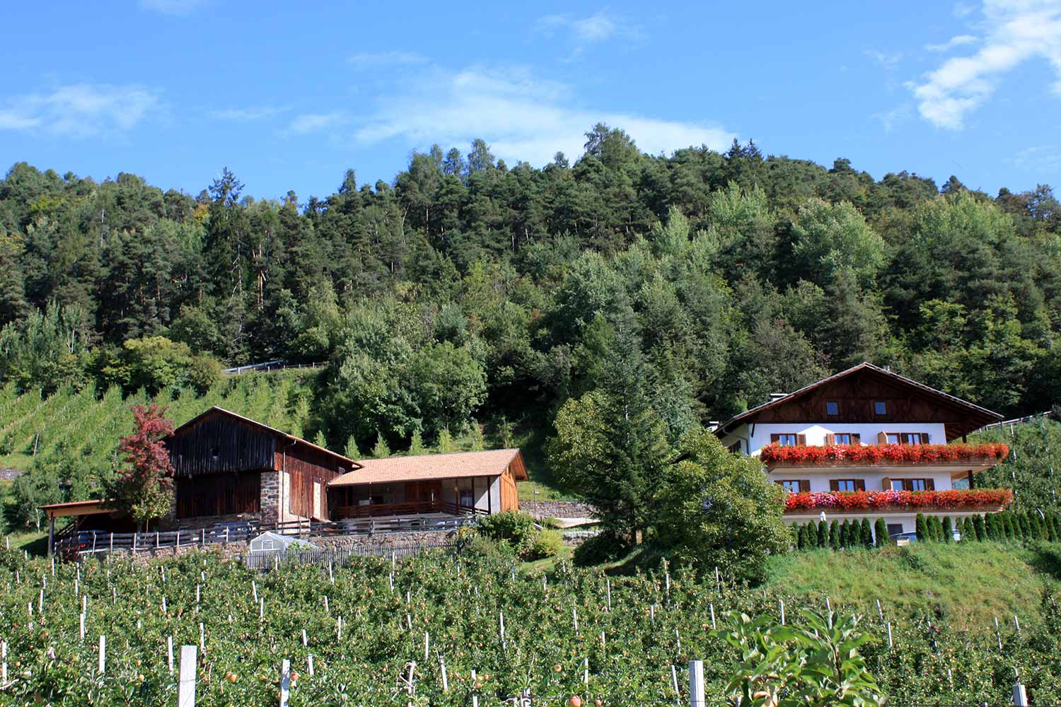 Ferienbauernhof Masunerhof foto 2