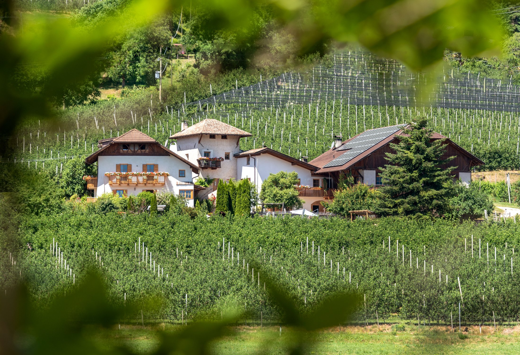 Schmalzerhof foto 1