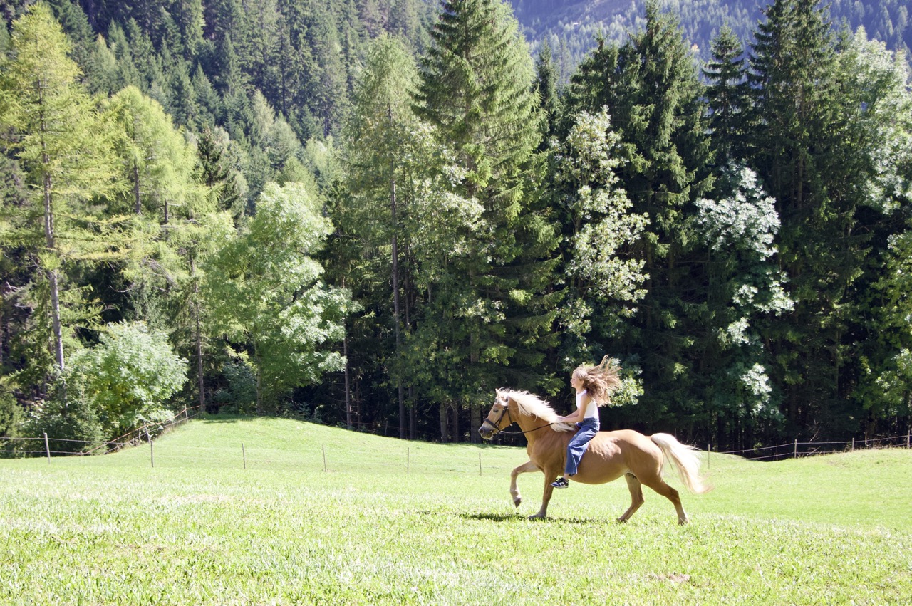 Pitschlhof | Affittacamere a Redagno foto 4