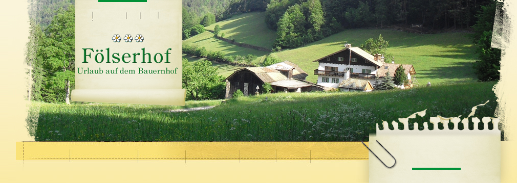 Agriturismo Fölserhof foto 5