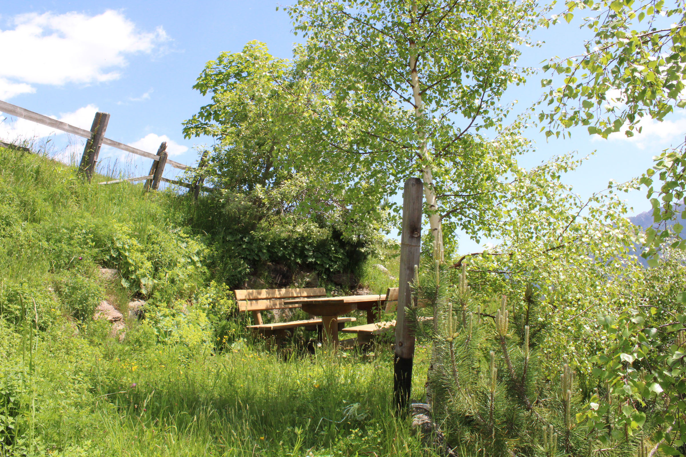 Agriturismo Oberhof foto 5