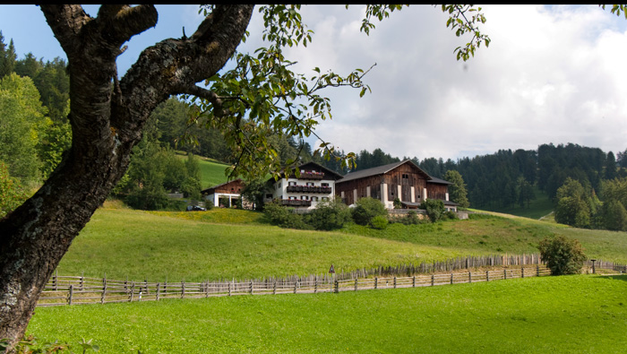 Wöserhof foto 5