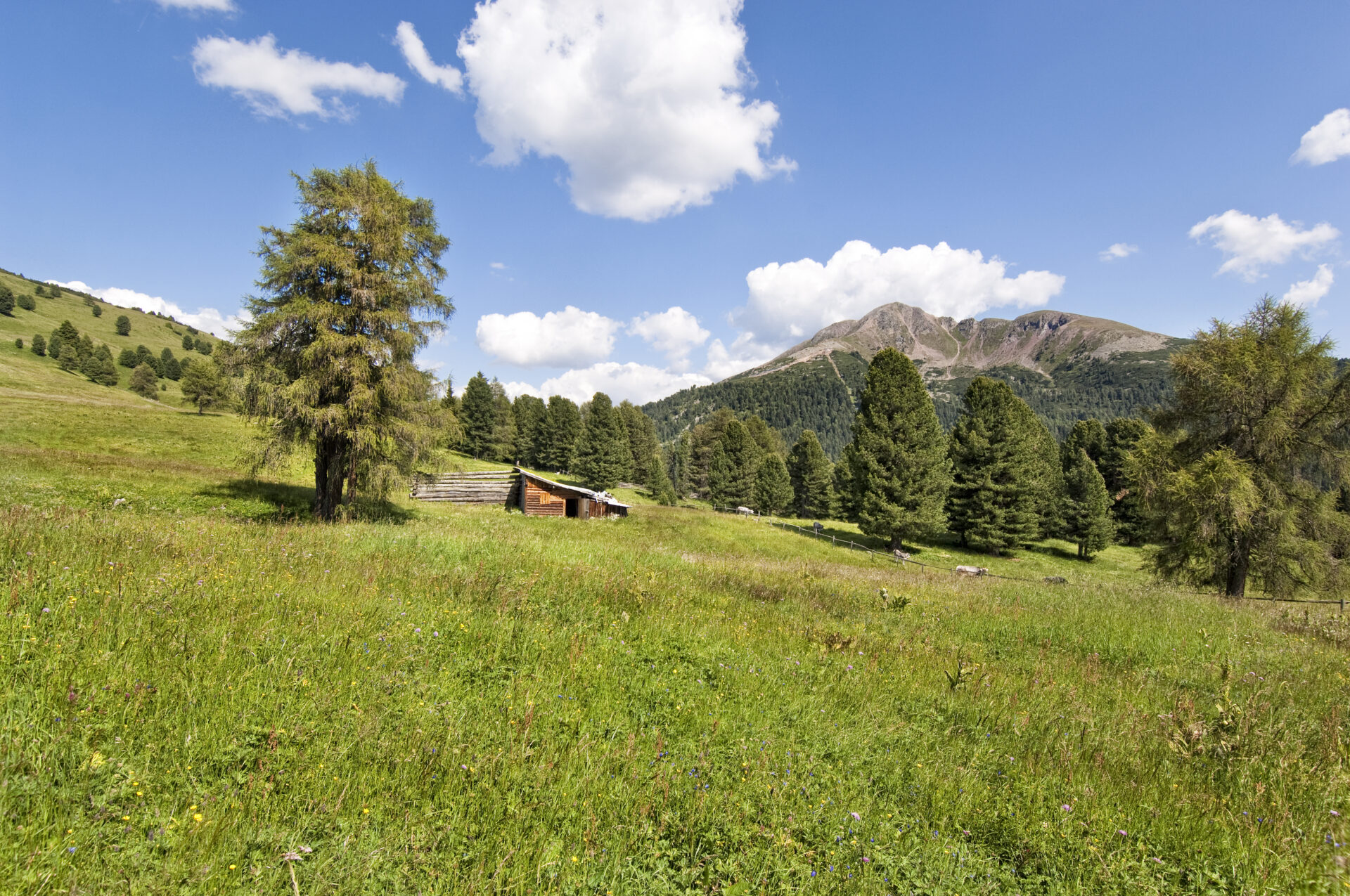Malga Gurndin foto 1