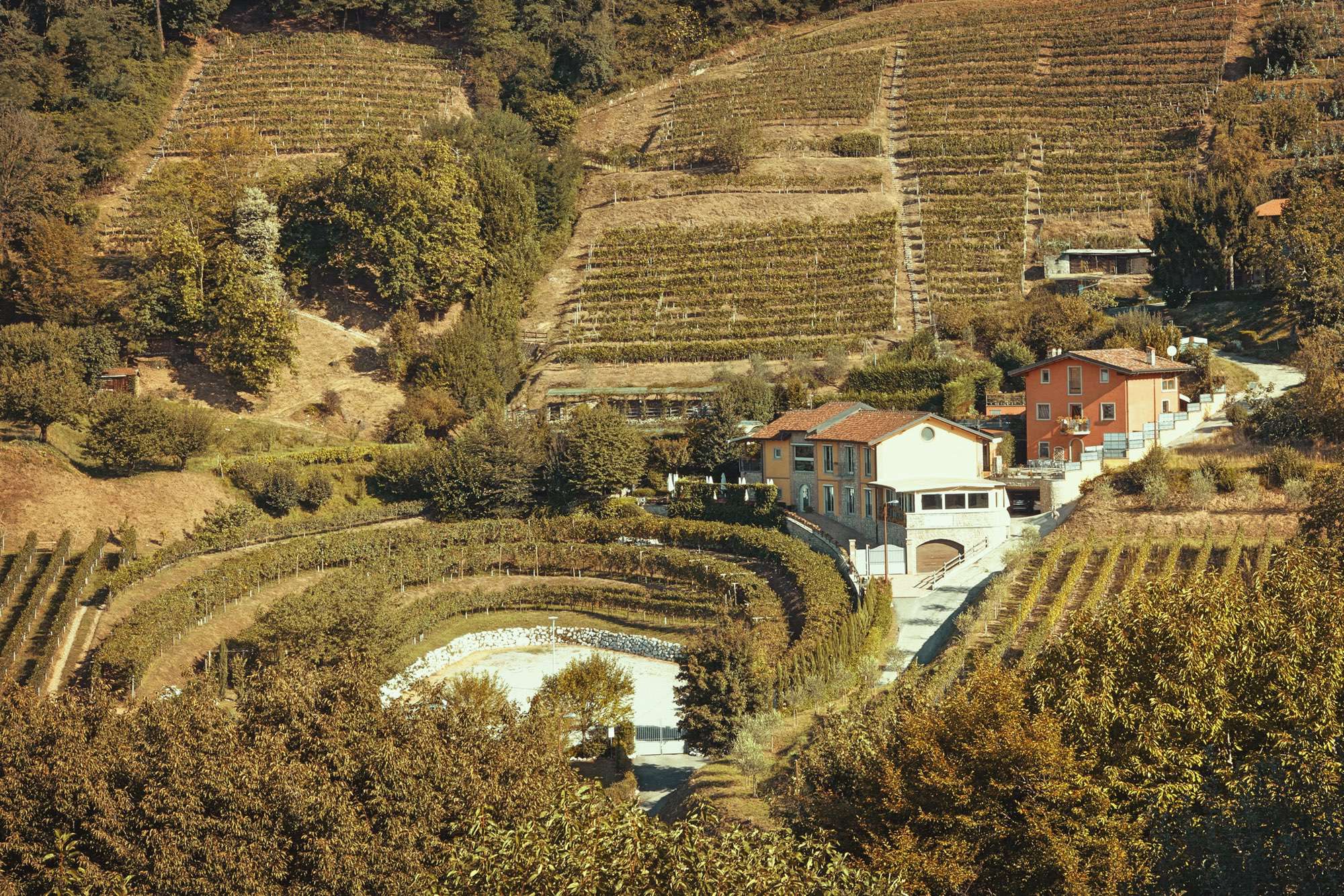 Tenuta Casa Virginia foto 6
