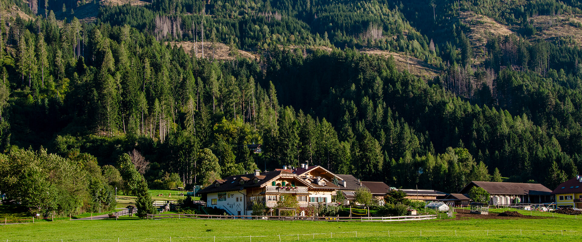 Agritur Mas dei Zalune Predazzo foto 1