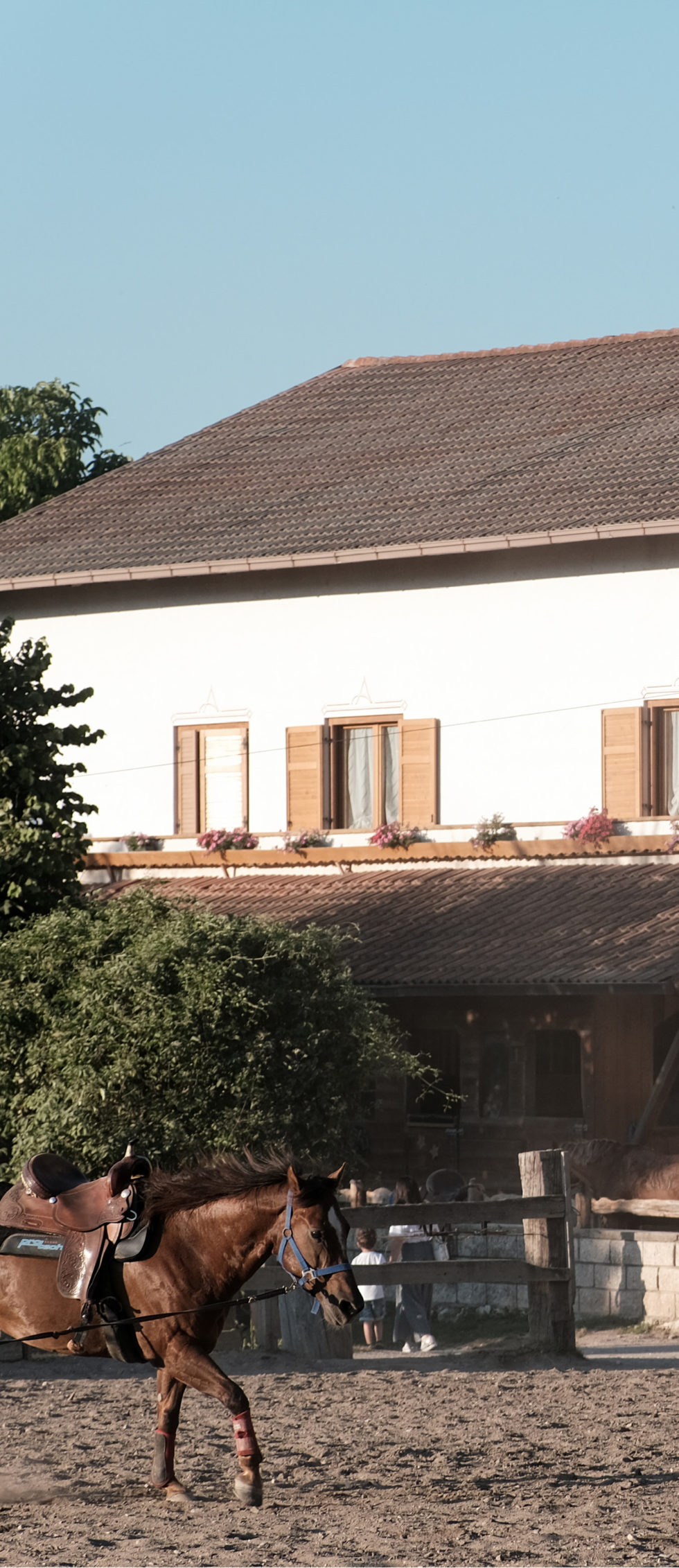 Agritur Agostini foto 5