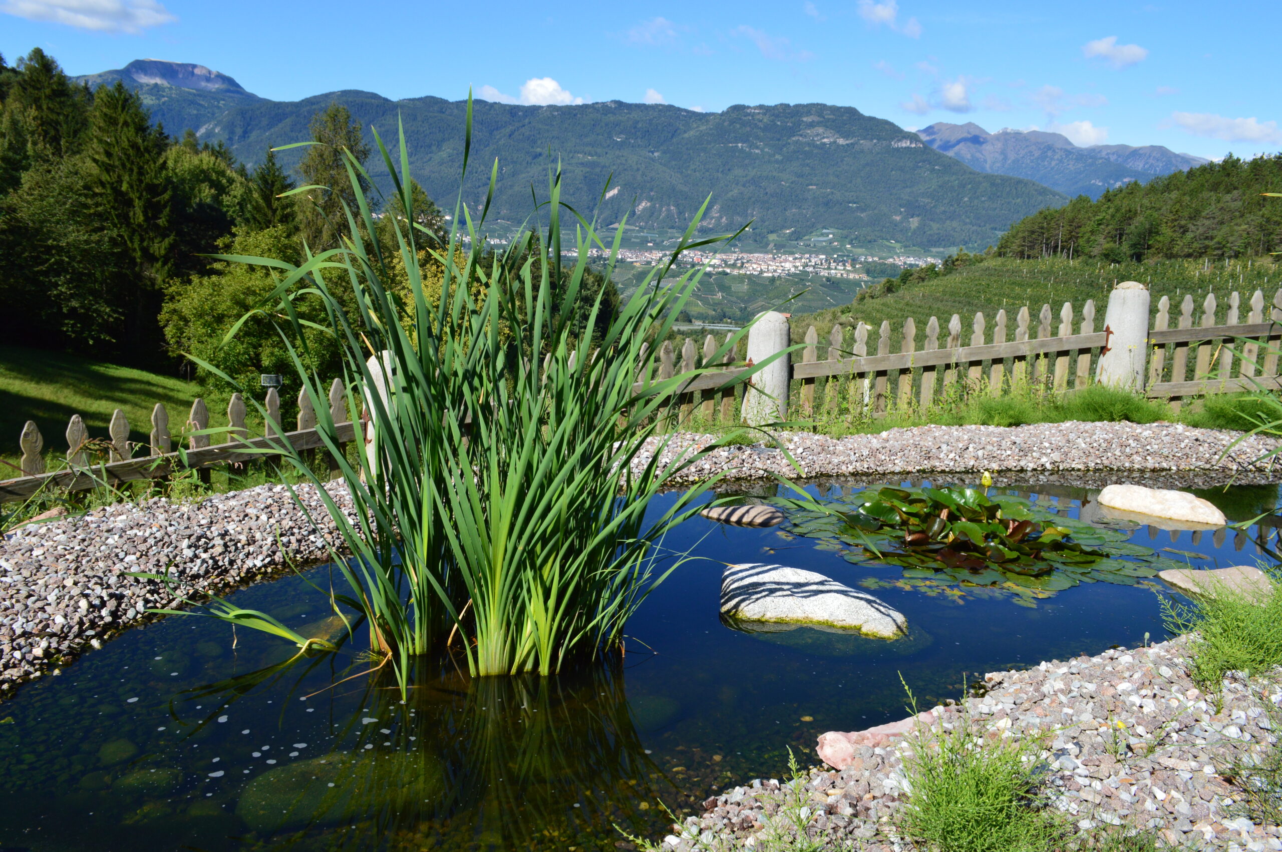 Agriturismo Alpenvidehof foto 2