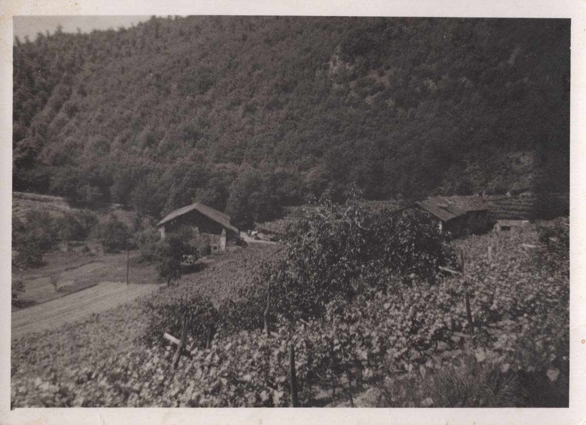 KREITHOF . GARNI BNB foto 4