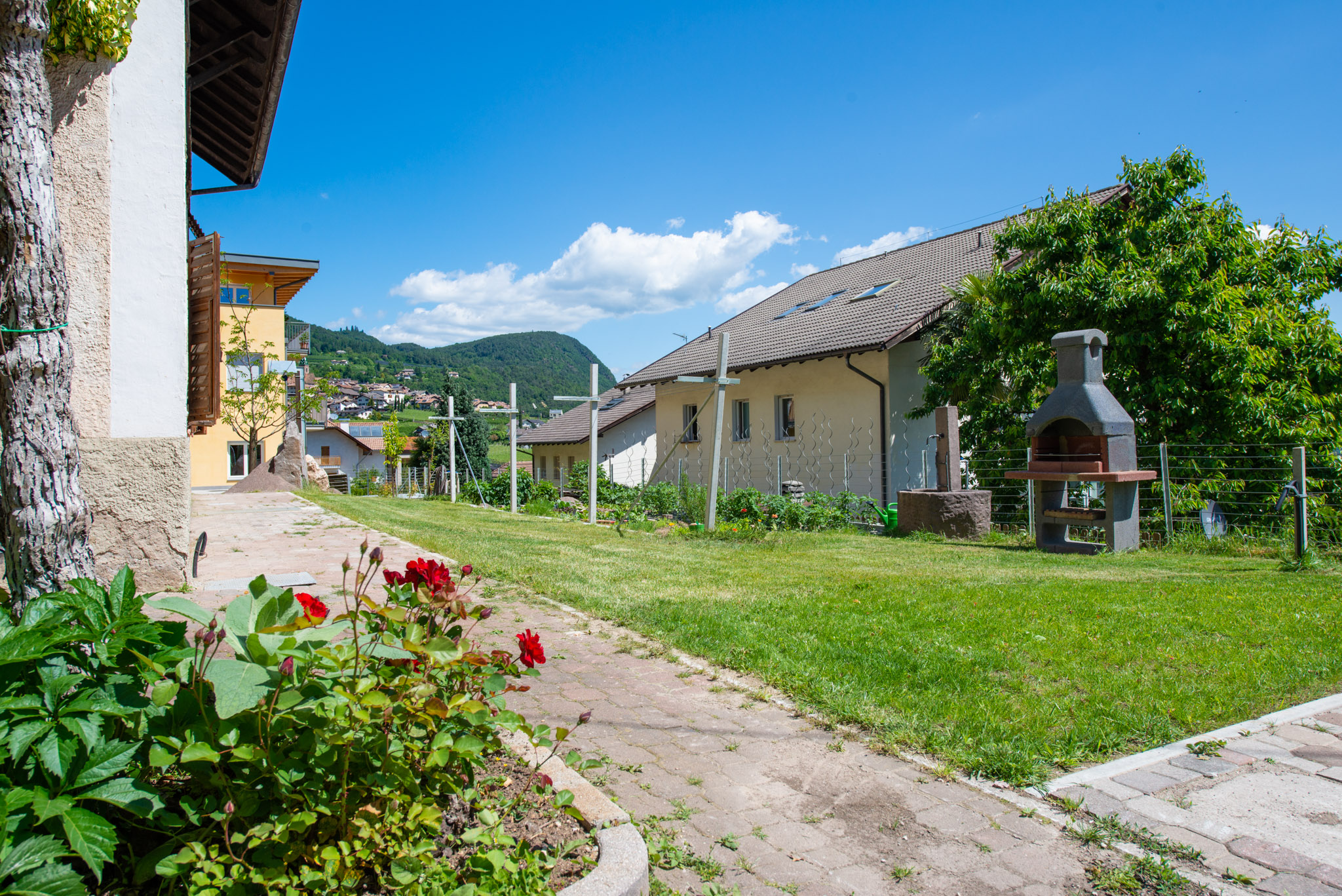 Haus Zur Traube foto 1