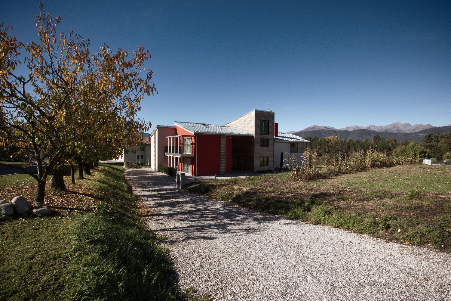 B&B Lupo foto 4
