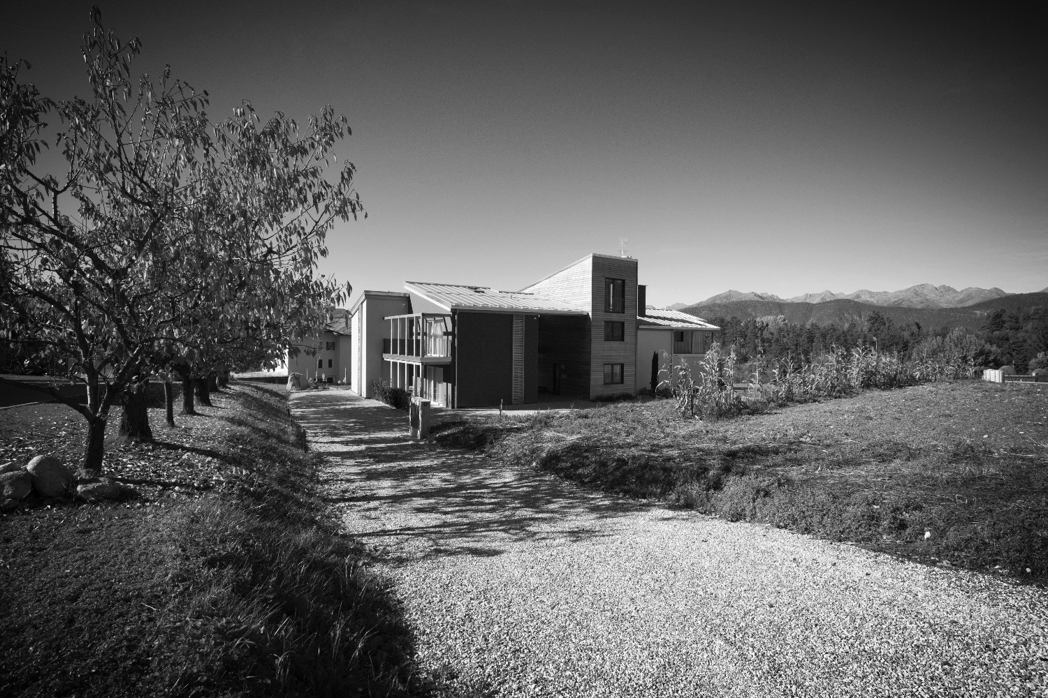 B&B Lupo foto 5