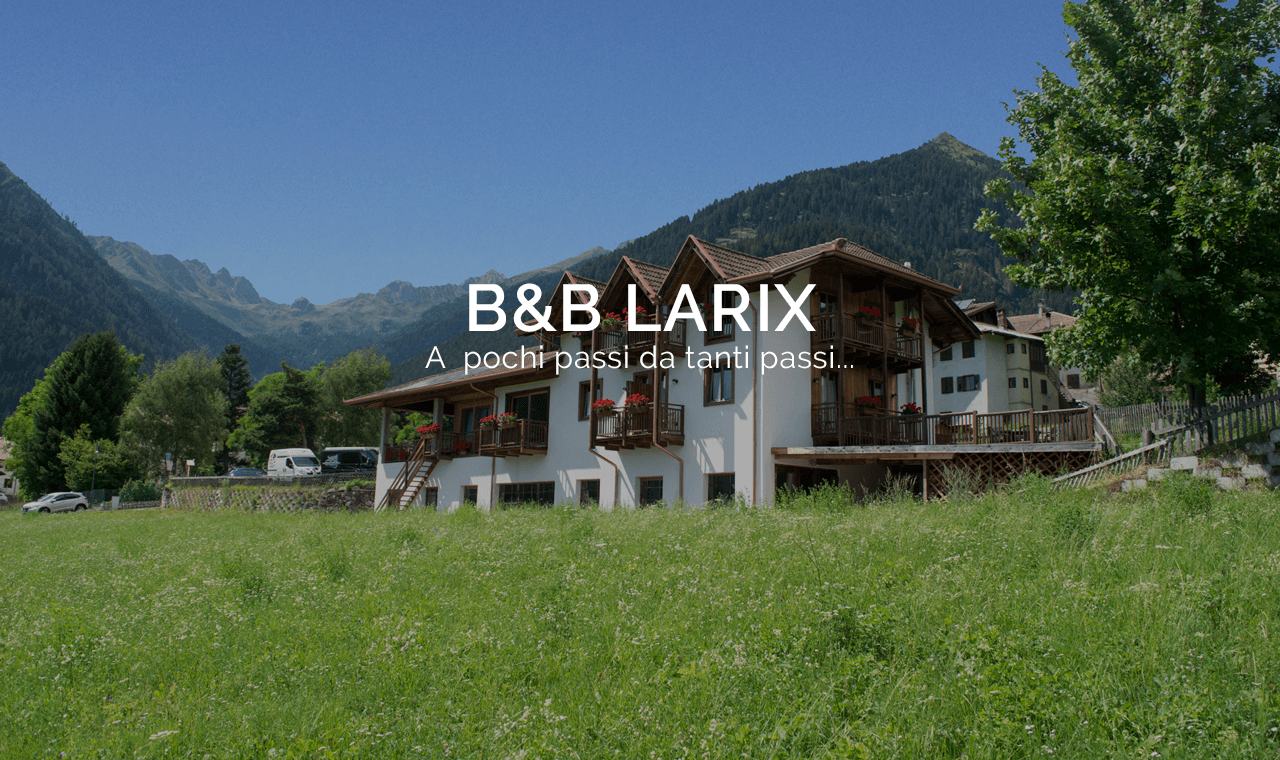 Larix Bed and Breakfast foto 1