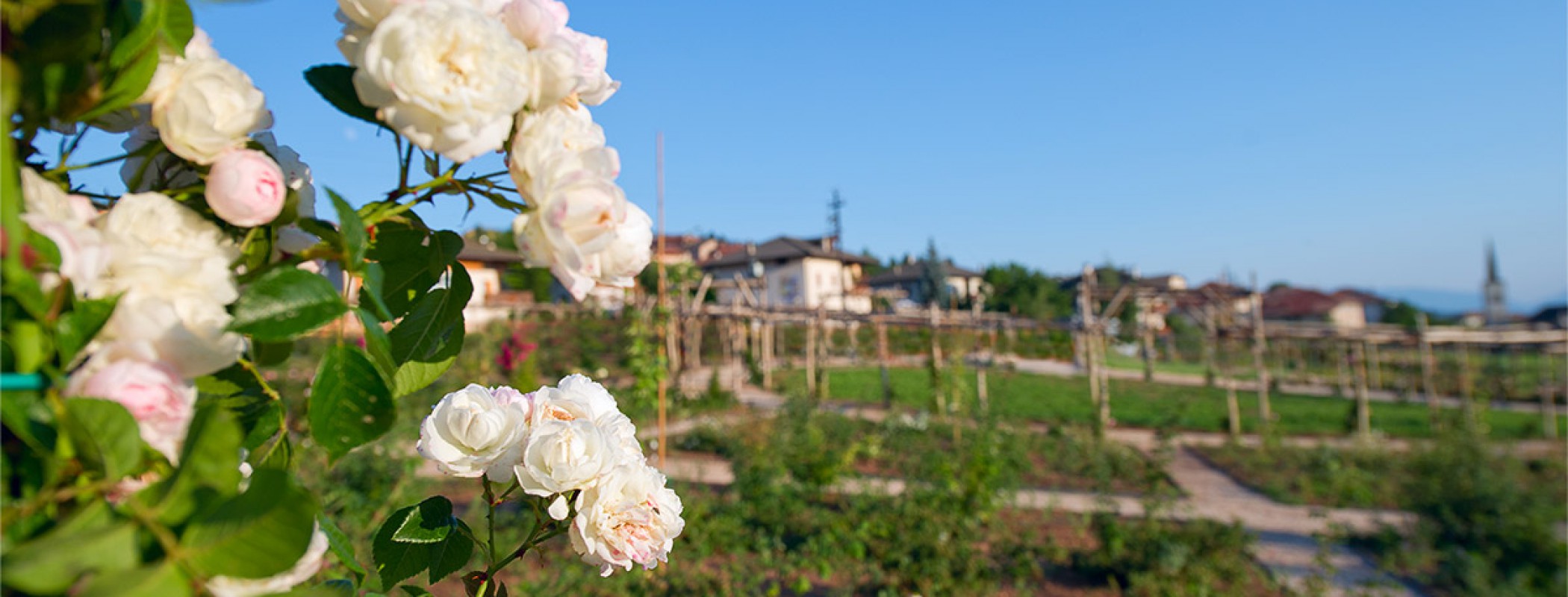 Dai Stoneri Affittacamere B&B foto 6