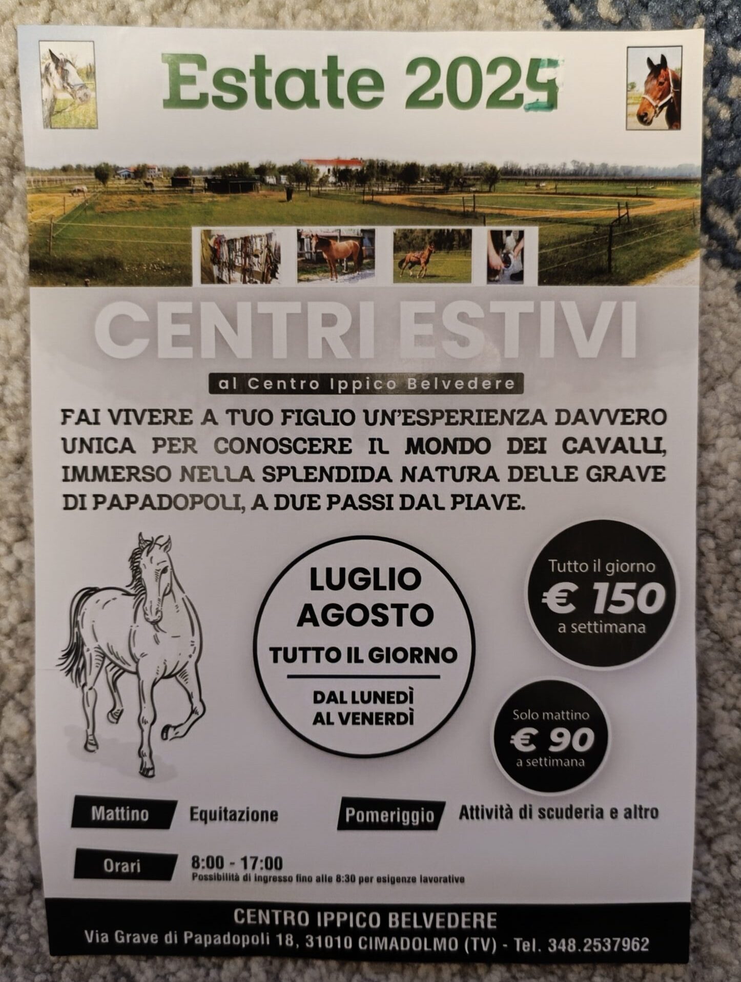 Scuderia BeLVedere foto 5