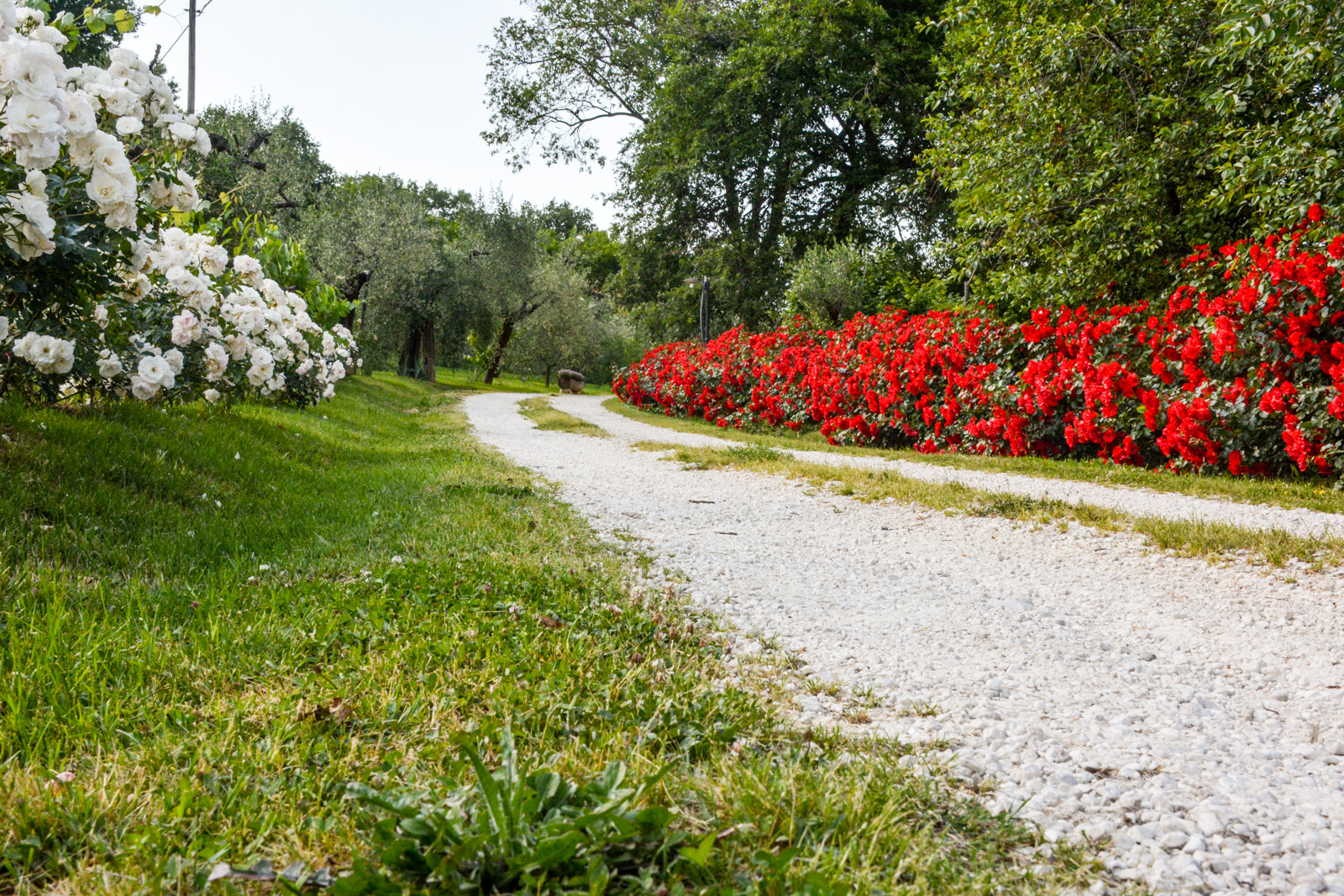 Agriturismo L'Arte del Verde foto 3