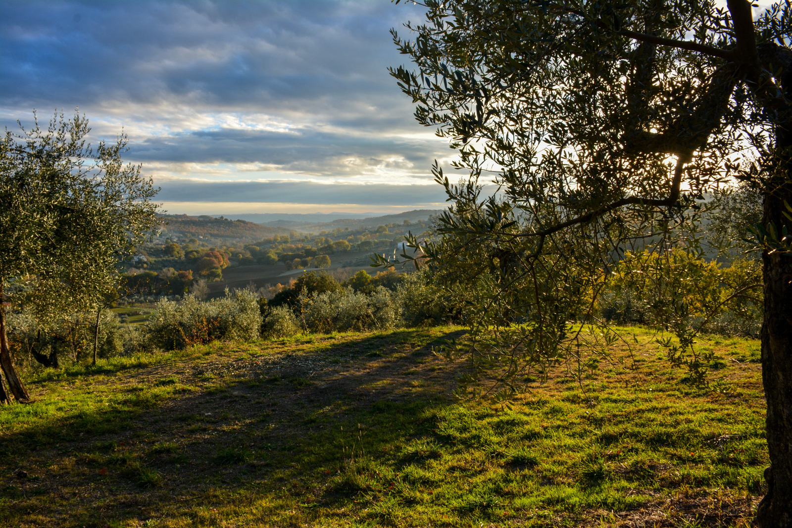 Agriturismo L'Arte del Verde foto 4