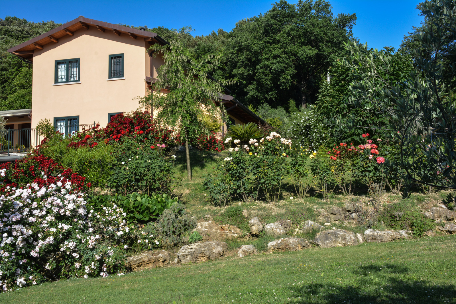 Agriturismo L'Arte del Verde foto 5