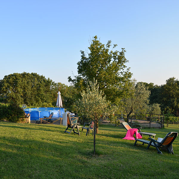 Agriturismo Podere dell'Olmo foto 6
