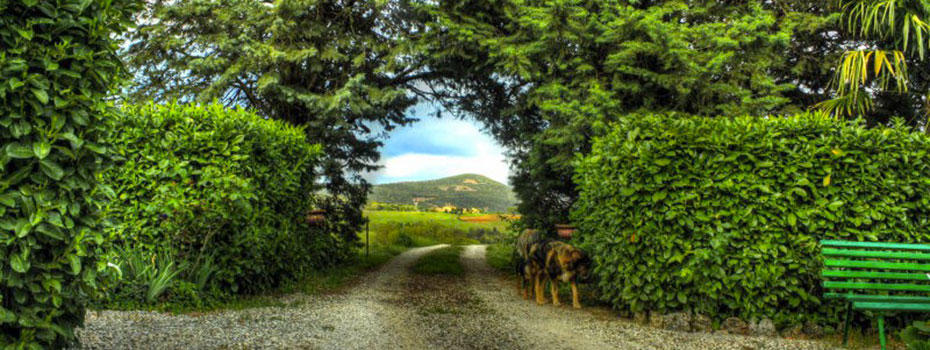 Agriturismo Antico Podere Roccobasso foto 3