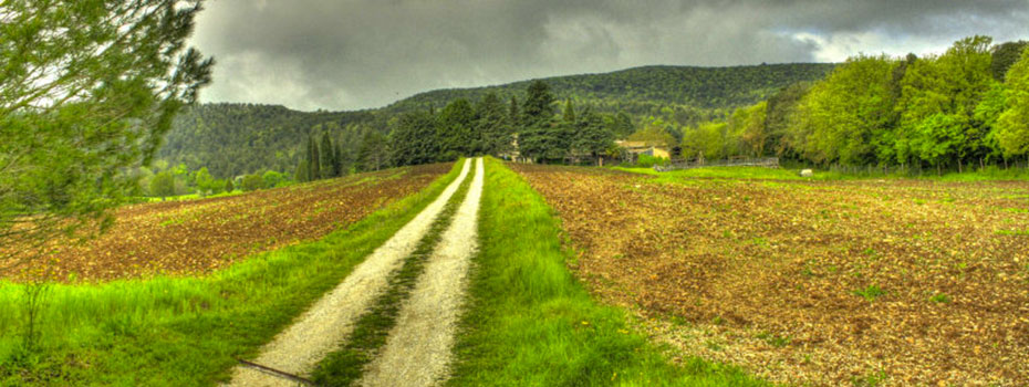 Agriturismo Antico Podere Roccobasso foto 4