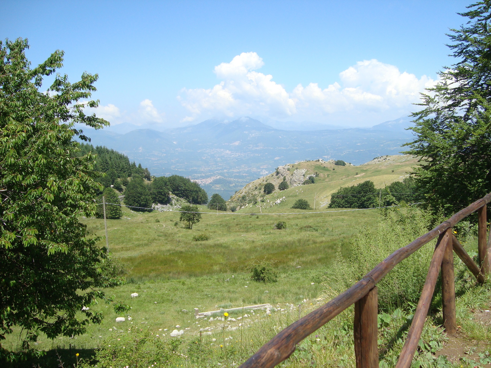 B&B Villa Sveva foto 1