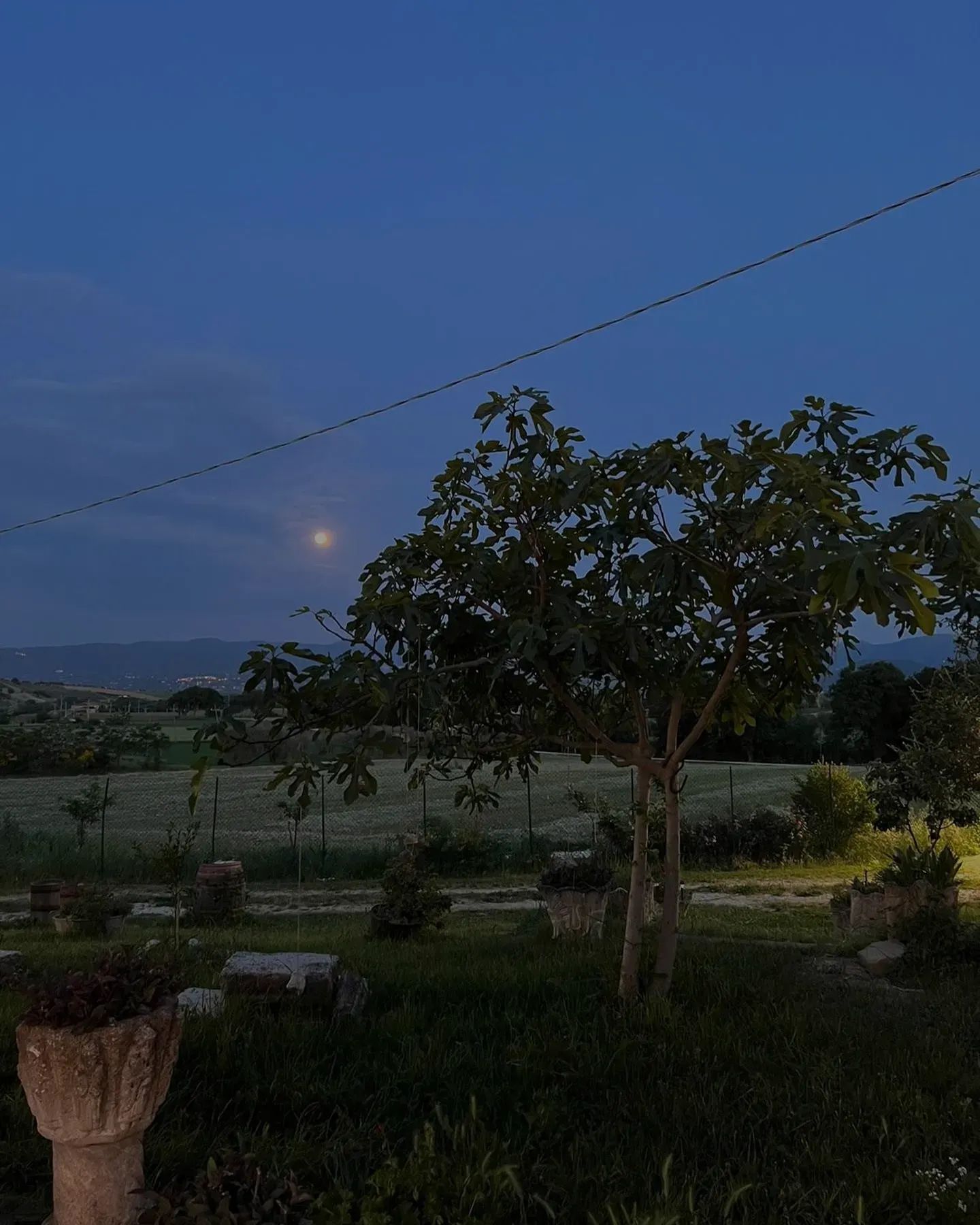 Madre Terra foto 4